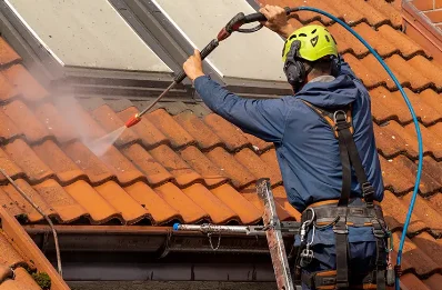Démoussage et hydrofuge de toiture à Oléac-Debat